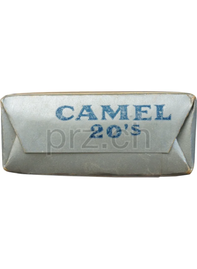 Camel – WWI Armed Forces, Modell Armed Forces, Jahr 1917 - 18, Ansicht 4